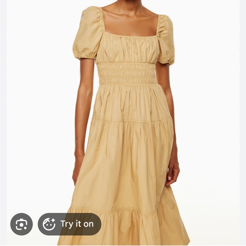 Aritzia Allegoria dress